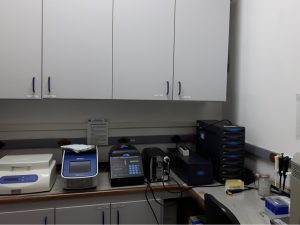 Sala de PCR  (Bioagro)
